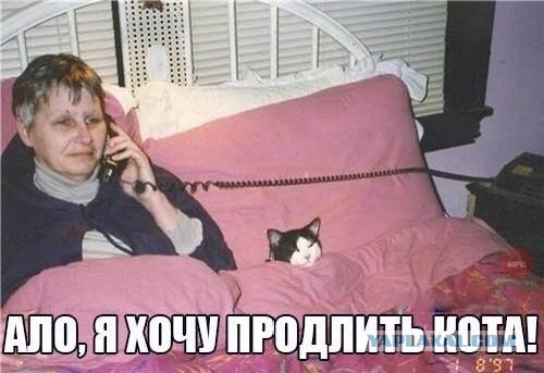Жизнь одинокой дамы в иллюстрациях