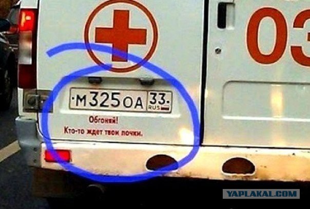 Картинки из ваших этих итернетов...