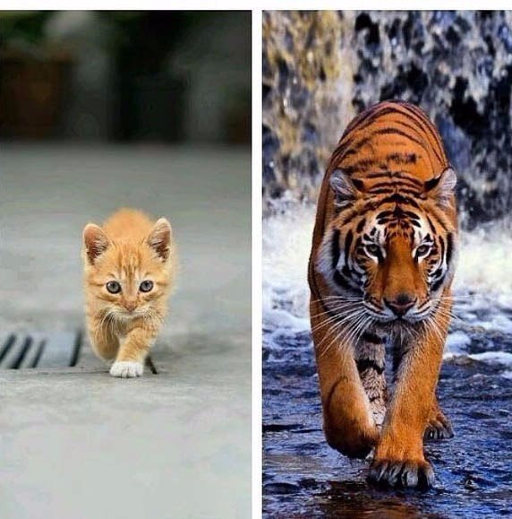 Подборка картинок