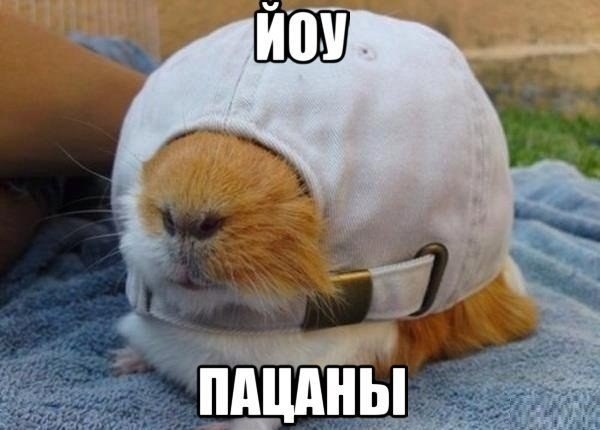 Мохнатые беспредельщики