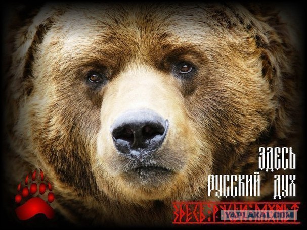 Что в мире называют русским?