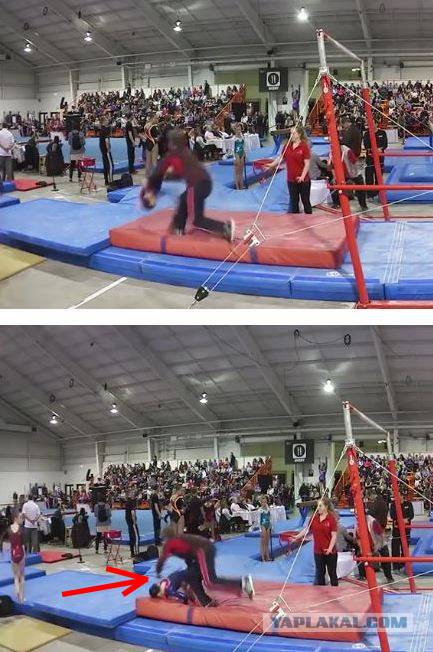 Тренер всегда поможет