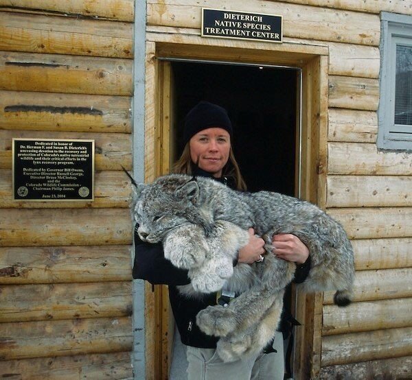 Мохнатые беспредельщики