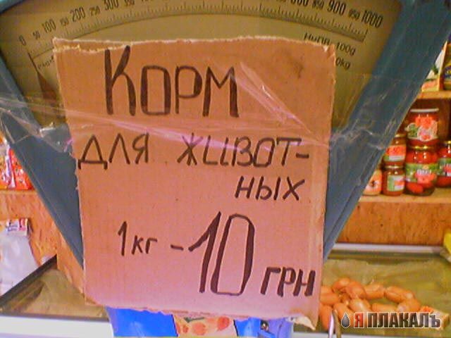 МОБИЛЬНОЕ ФОТО