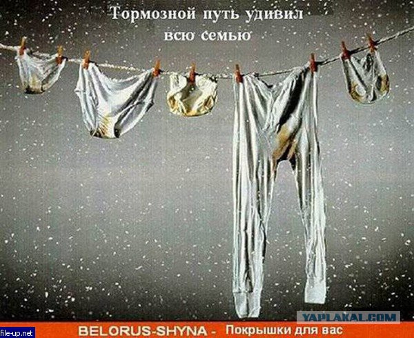 Интересные и веселые картинки