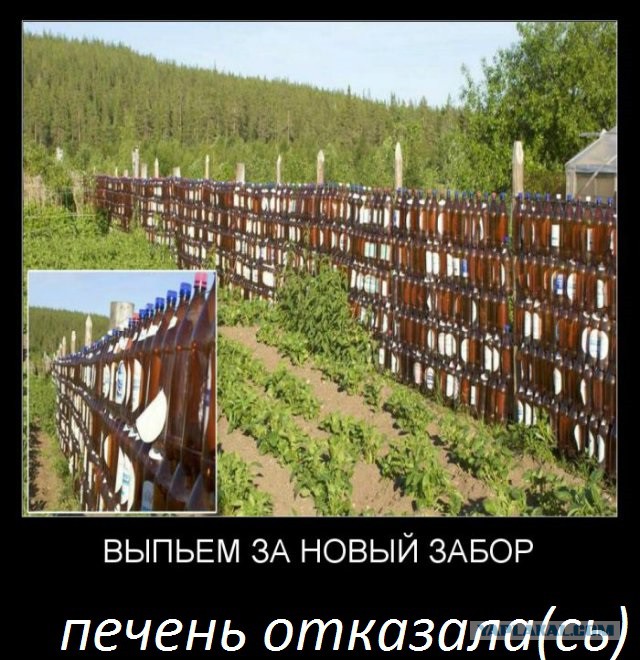 Смешные комментарии 05.06.2016