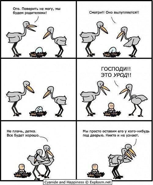 Юмор не для всех