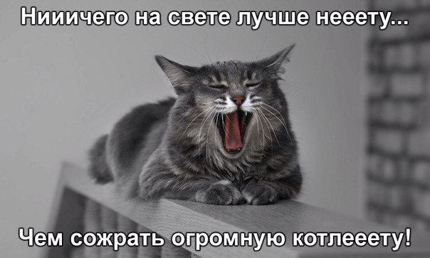 Божьи твари