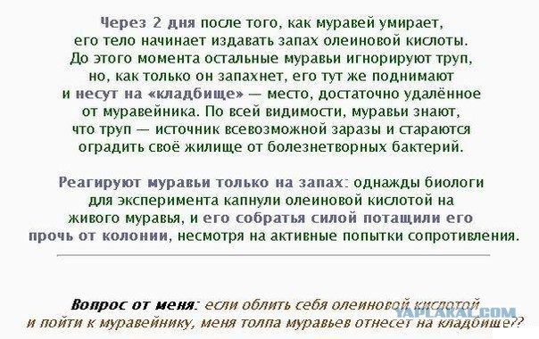 Смешные комментарии 06.07.2016