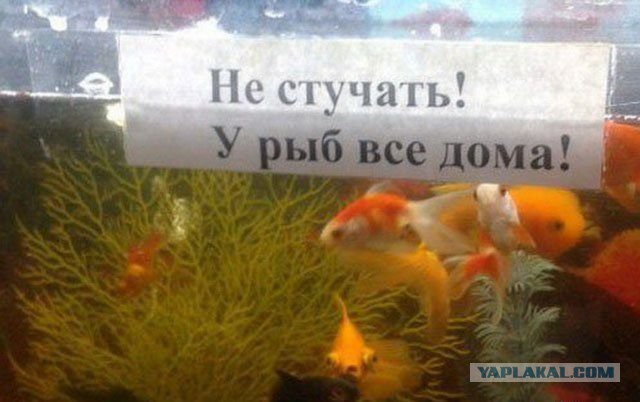 Подборка приколов