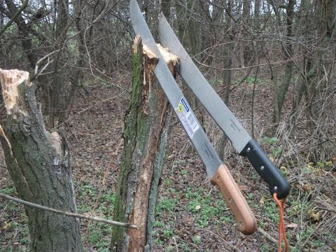 Разгребали сарай соседа