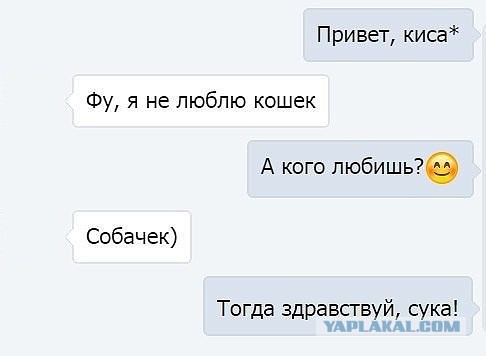 32 картинки с надписями.