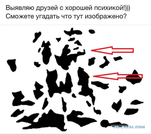 Голову сломал уже