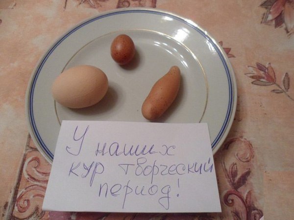 Подборка безудержного веселья