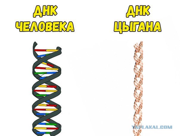 Несколько нетолерантных картинок