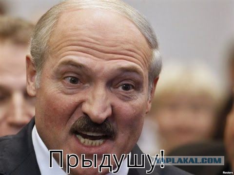Батька