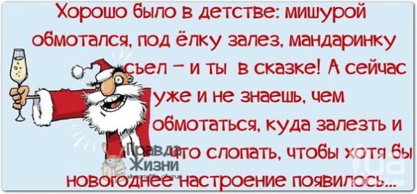 23 фото, после которых у вас появится новогоднее настроение