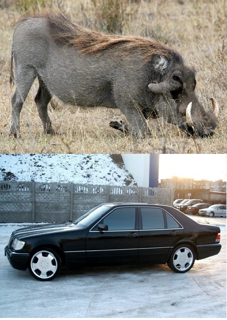 Клички у автомобилей