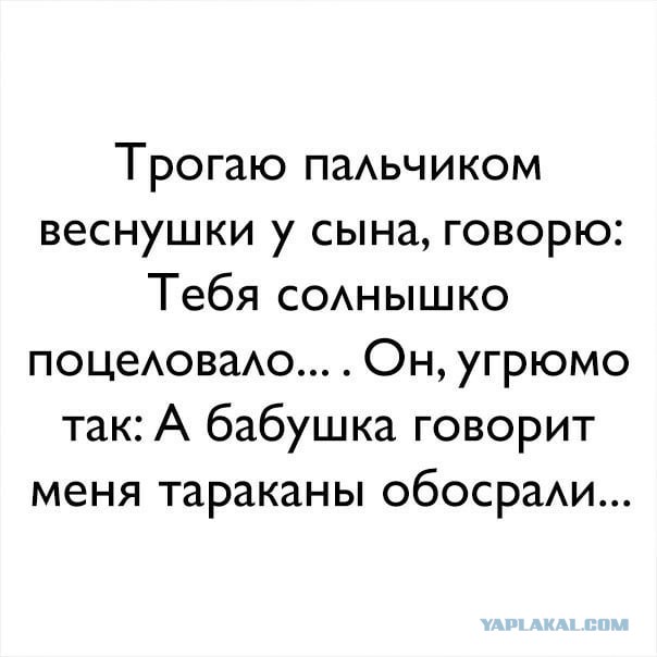 Смешные комментарии из социальных сетей 08.06.2018