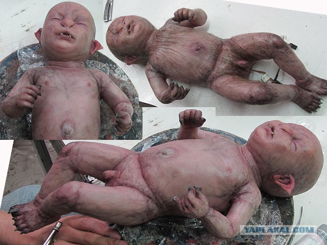 «Злая шутка природы» - эксперт о жутком создании из Приморья