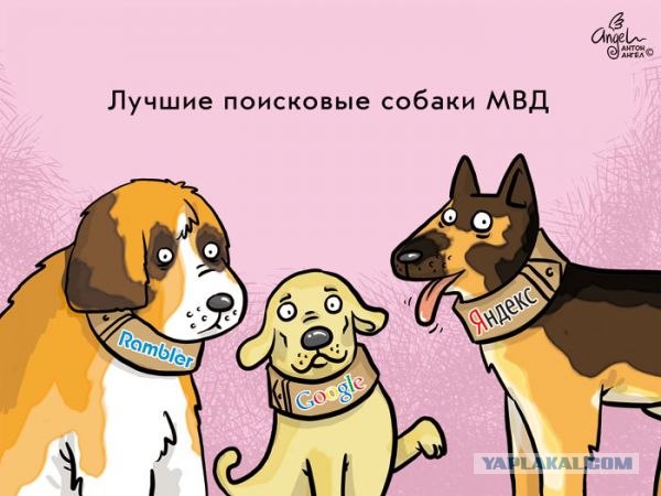 Собаки МВД