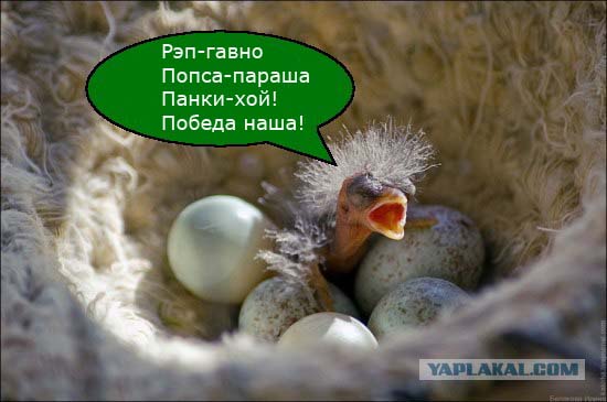 Щаз как спою!