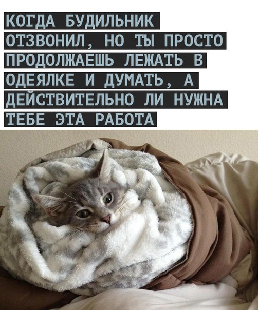 Юмор с ароматом понедельника