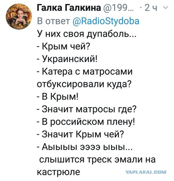 Смешные комментарии из социальных сетей 14.12.2018