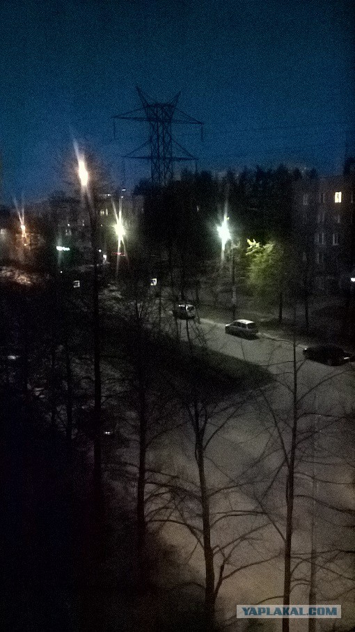 Лето, делимся видом из окна