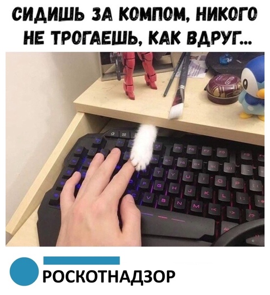 Немного картинок для настроения 19.10.19