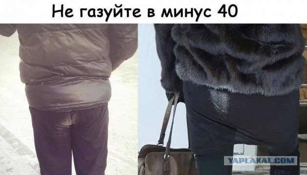 Пердите где хотите, но помните о последствиях