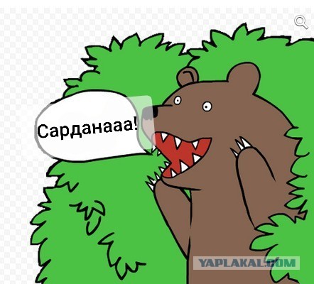 У губернатора Якутии нашли 19 элитных автомобилей, которые обслуживают за счет бюджета