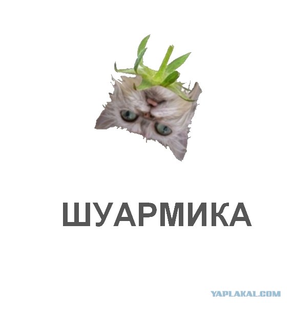 Фотожаба: Лето, фрукты, генетика!