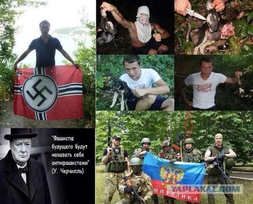 "Туристы" из России.