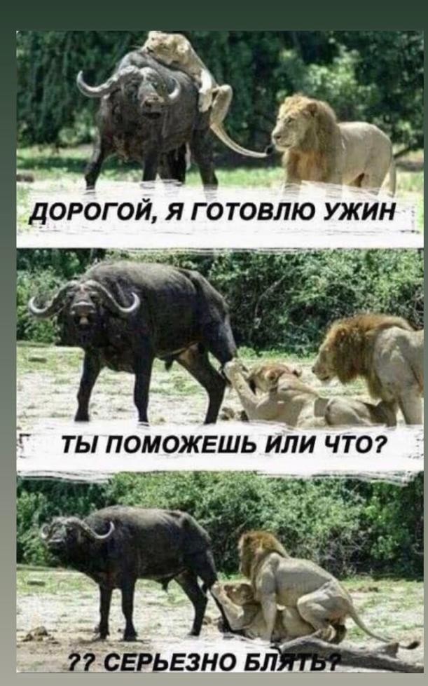 Ну и как тут, спрашивается, работать?!