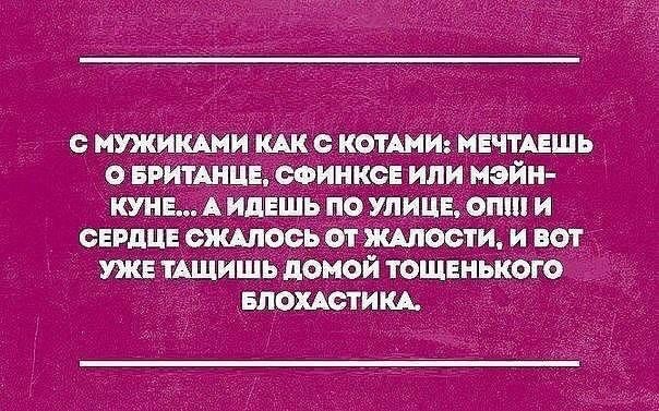 Немного картинок для настроения 07.09.20