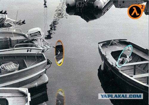 Фотожаба: Полет Барсика