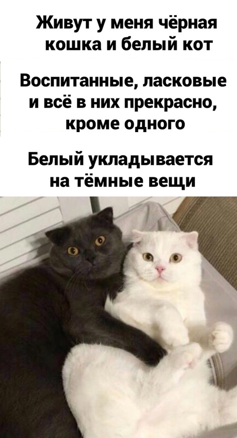 Юмор в картинках 16.11.20