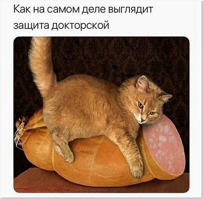 15124094.jpg