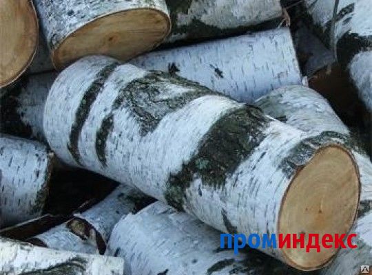 Девушка, которая не в тренде