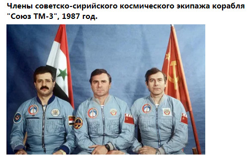Насохранял