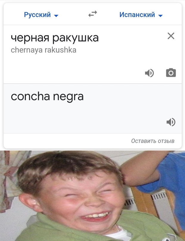 Весёлый полтишок 19.04