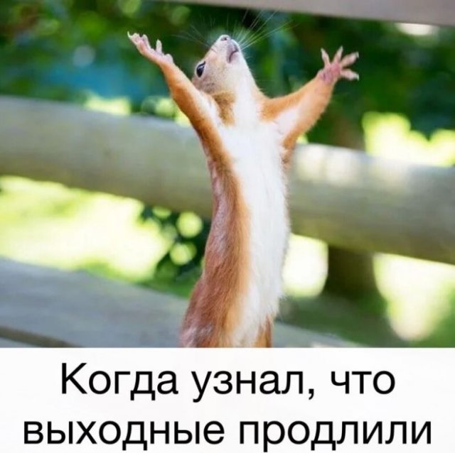 Баянисто-небаянистый юмор. 28.04.21