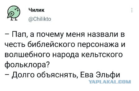 Чернушка на выходные...