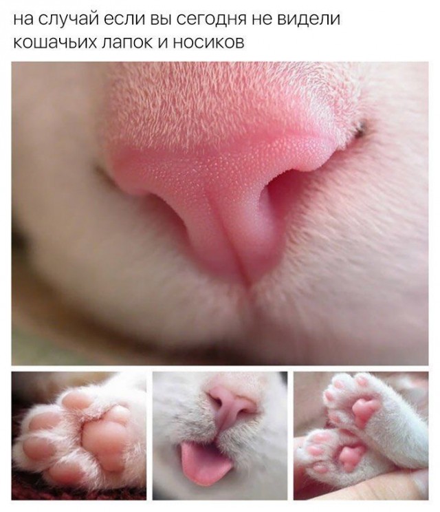 Картинки и мемы для настроения 24.08.2021