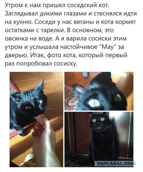 Четверг, а значит пора начинать деградировать...