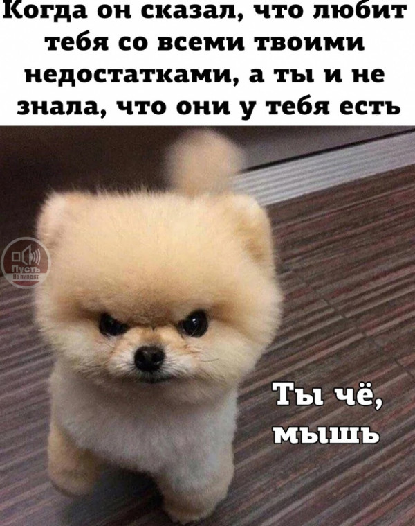 Картинки и мемы. Выходные близко, близко...