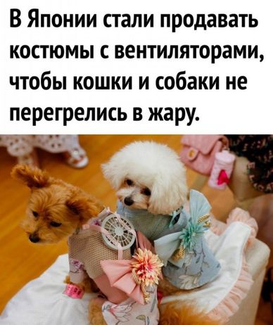 Чуток картинок 04.08.22
