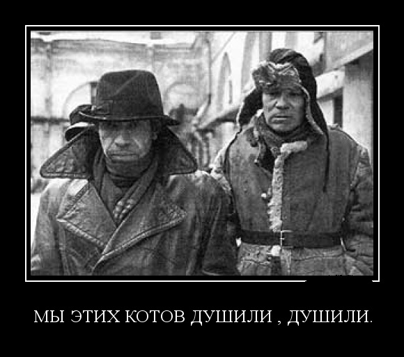 Кошка Фрейя. Финал, к сожалению.