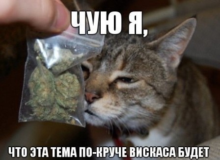 Прикольные и просто красивые картинки 25.10.2022